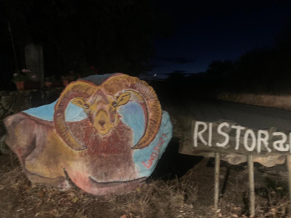 Orgosolo B&B Sardegna Dış mekan fotoğraf
