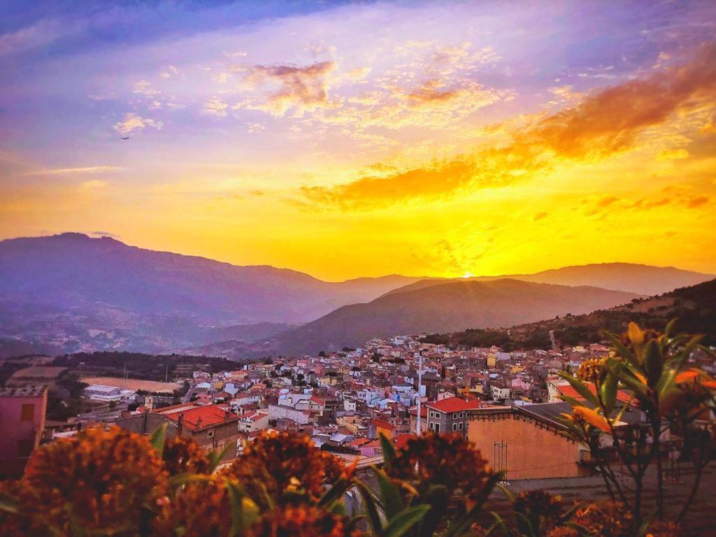 Orgosolo B&B Sardegna Dış mekan fotoğraf