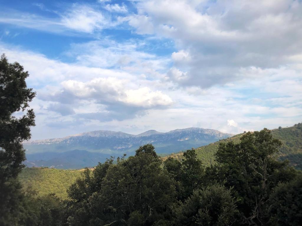 Orgosolo B&B Sardegna Dış mekan fotoğraf
