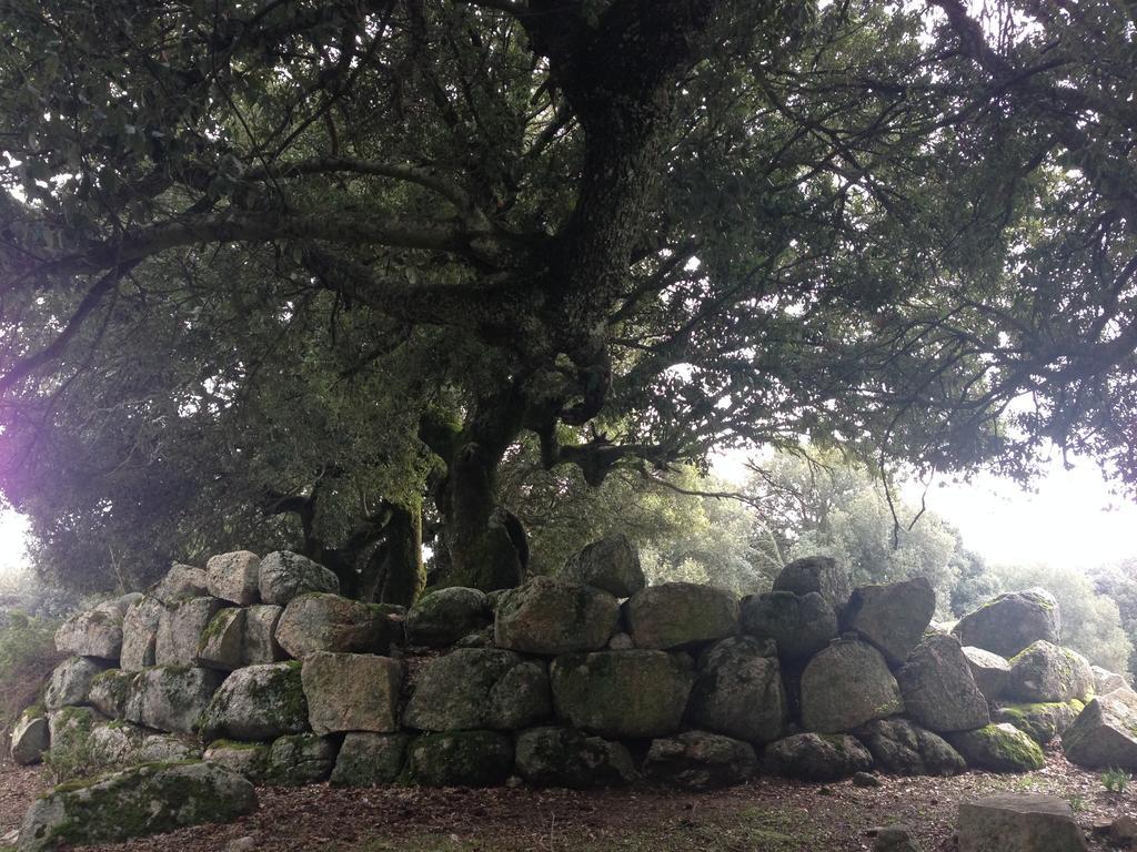 Orgosolo B&B Sardegna Dış mekan fotoğraf