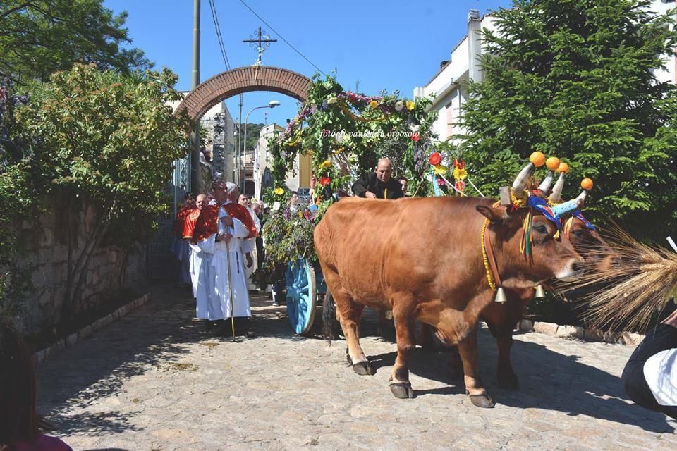 Orgosolo B&B Sardegna Dış mekan fotoğraf